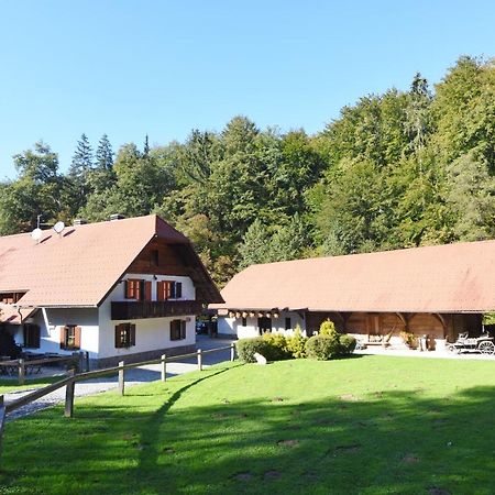 Domacija Seruga Countryside Hotel Novo Mesto Exteriér fotografie
