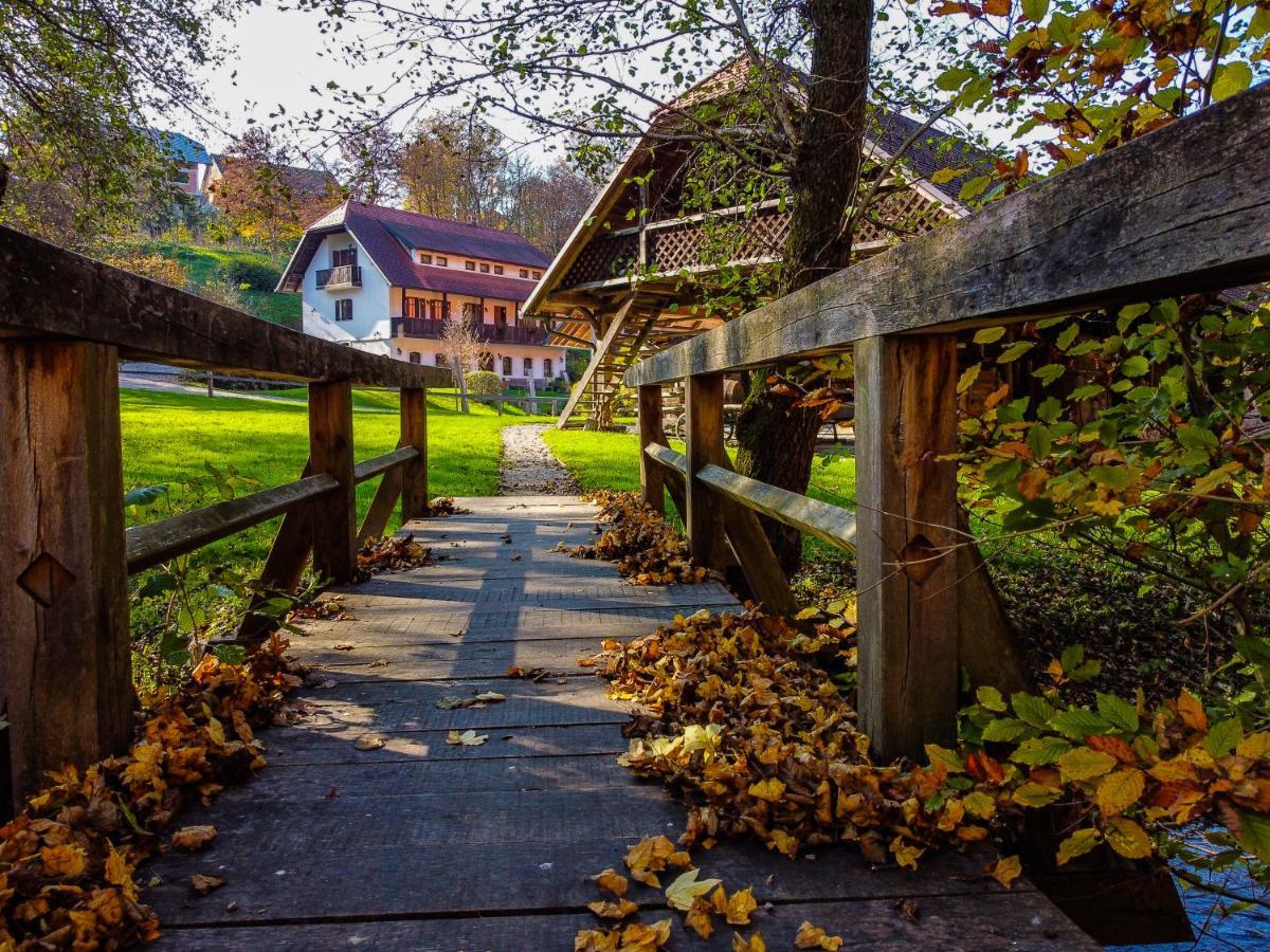 Domacija Seruga Countryside Hotel Novo Mesto Exteriér fotografie