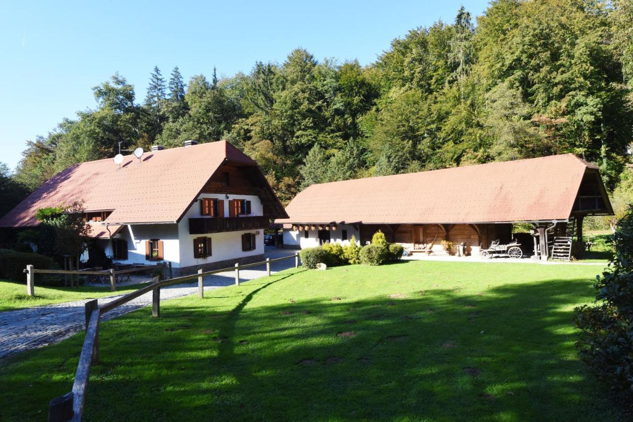Domacija Seruga Countryside Hotel Novo Mesto Exteriér fotografie