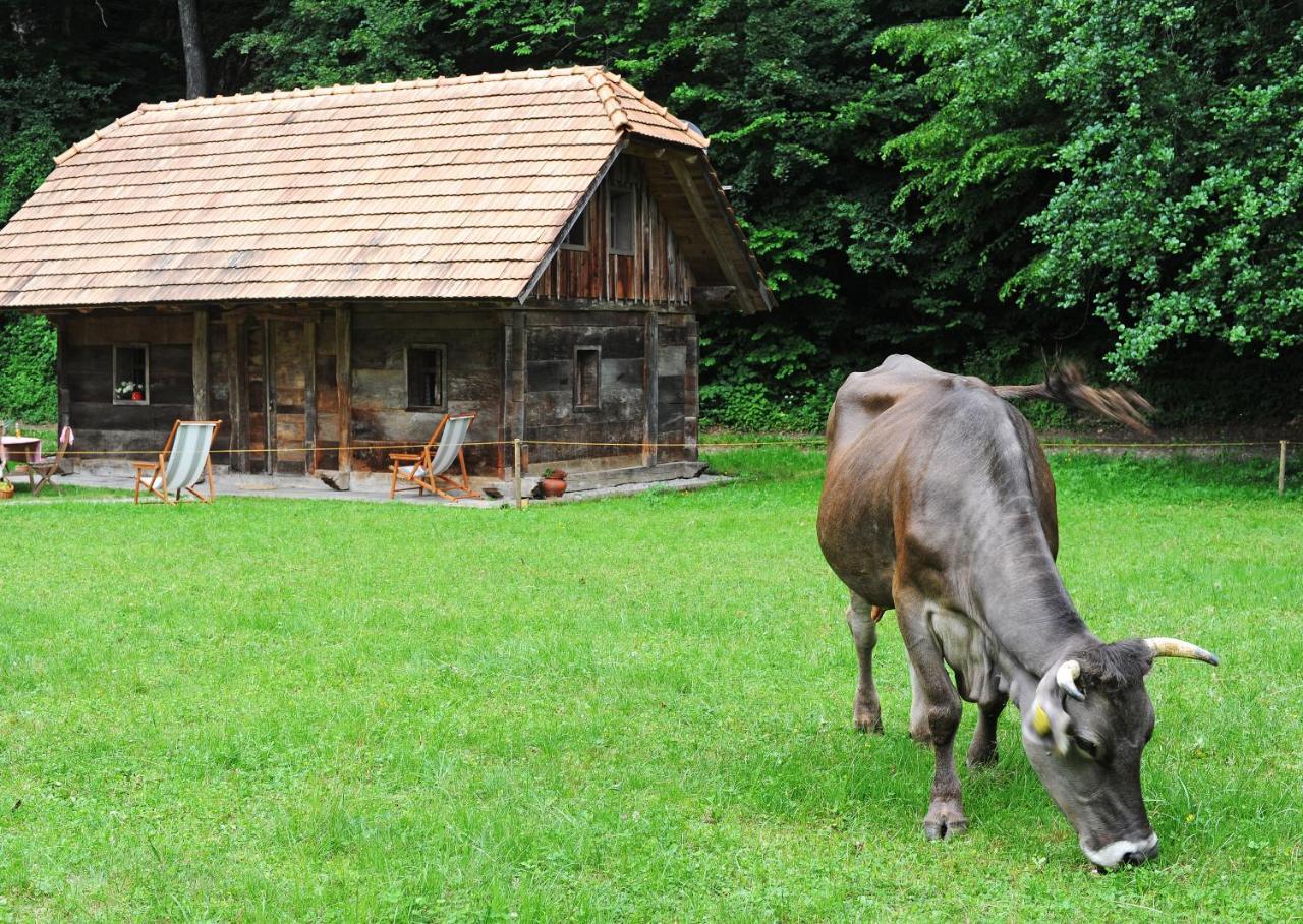 Domacija Seruga Countryside Hotel Novo Mesto Exteriér fotografie