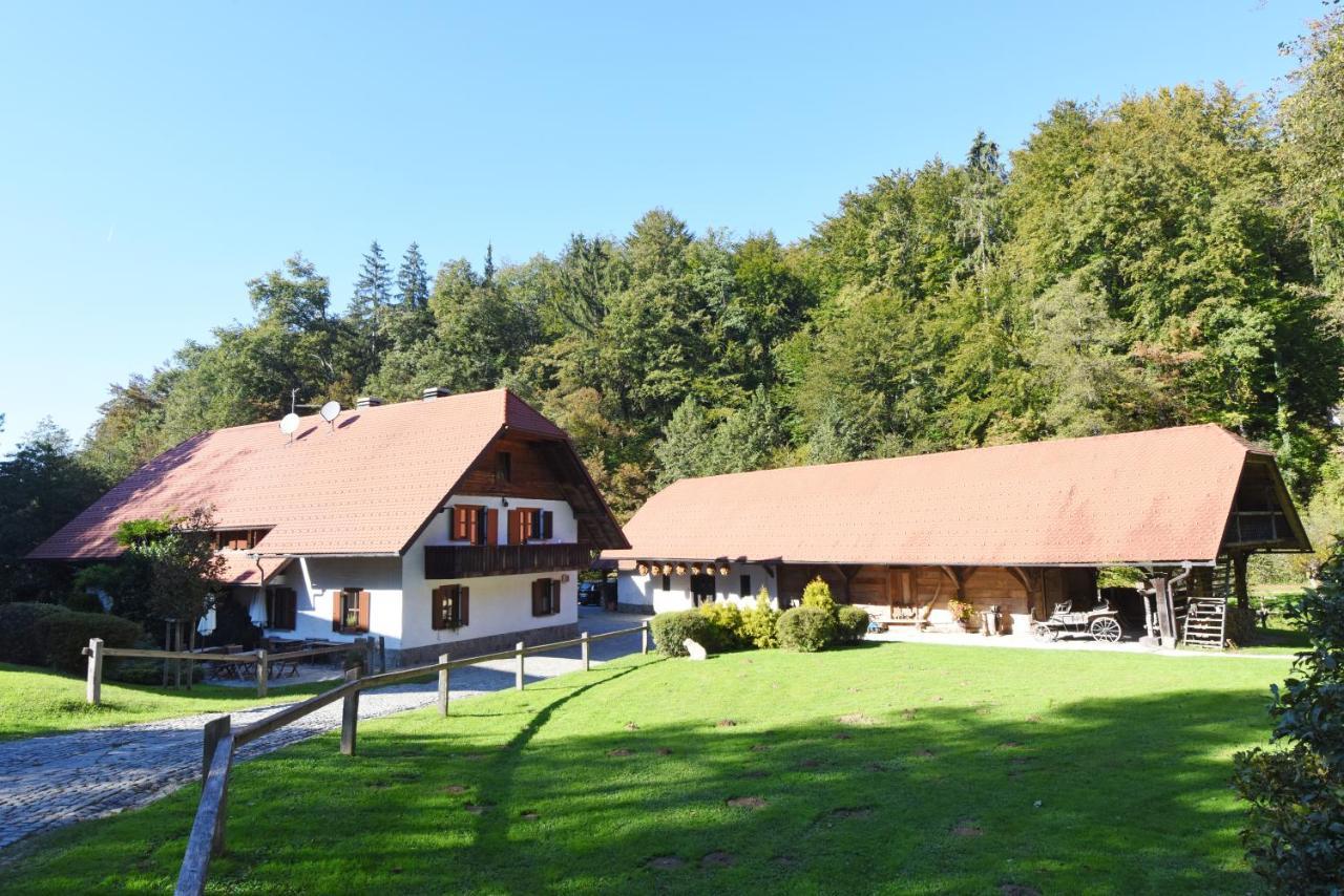 Domacija Seruga Countryside Hotel Novo Mesto Exteriér fotografie