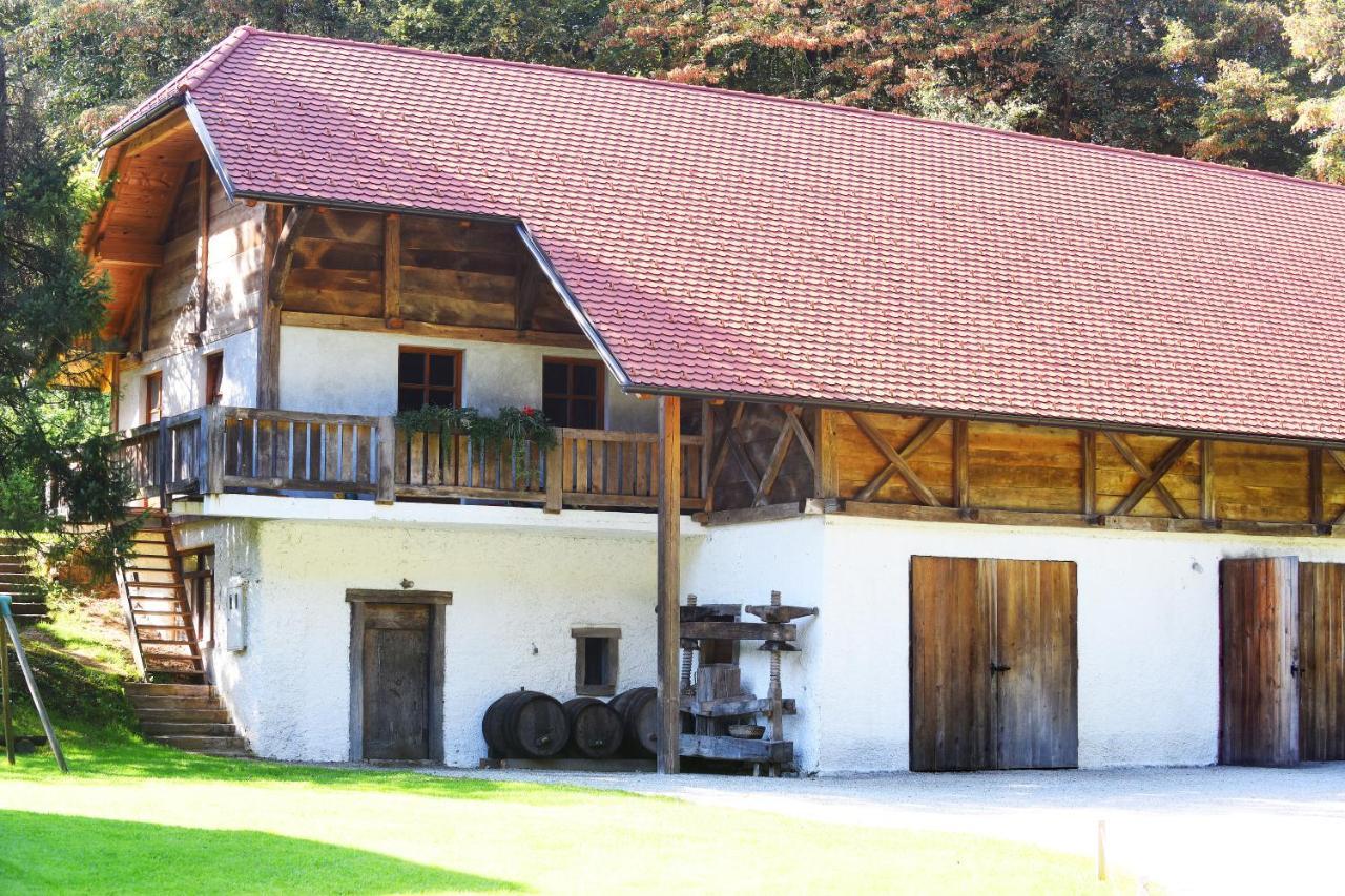 Domacija Seruga Countryside Hotel Novo Mesto Exteriér fotografie