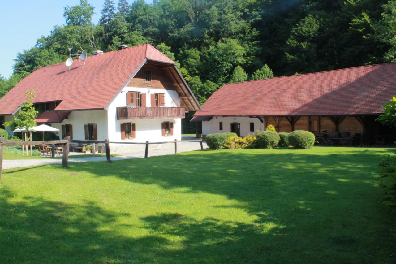 Domacija Seruga Countryside Hotel Novo Mesto Exteriér fotografie